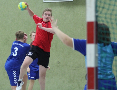 Juri Wermers war am Samstag Torgarant bei den Handballfreunden. (Foto: Heidrun Riese)