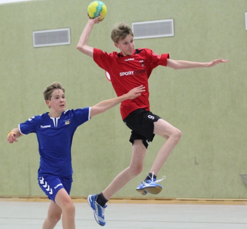 Maximilian Opitz holte mit den Handballfreunden nach gutem Spiel einen unerwarteten Punkt. (Foto: Heidrun Riese)